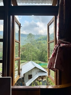 View from my homestay bedroom window in Gorkhe Village