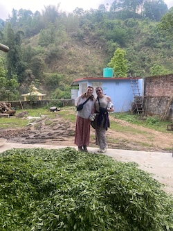 Jorja and I standing next to a daily harvest of tea leaves