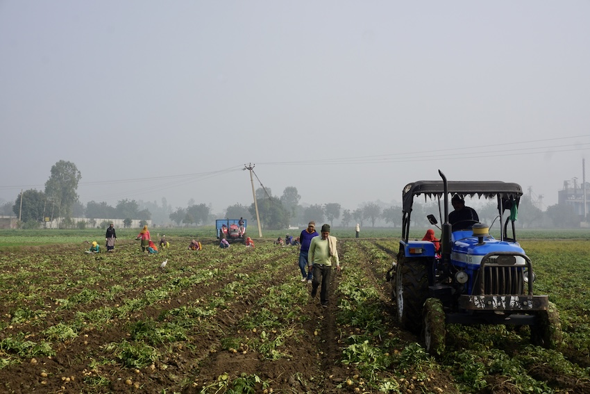 Agricultural production in a field of people and a tractor