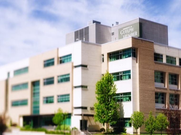 University of Guelph-Humber