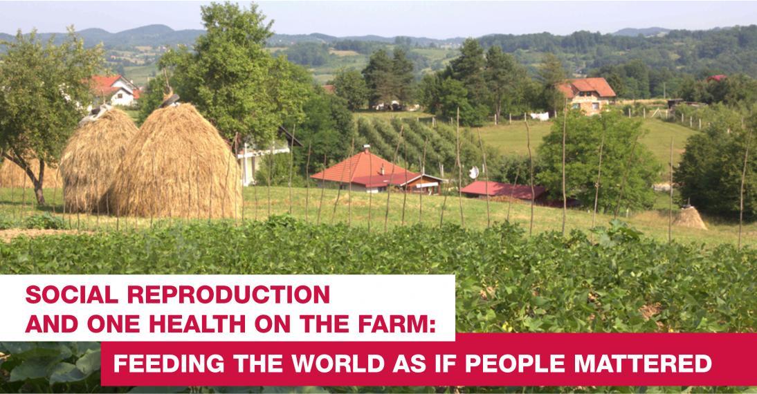 Social reproduction and One Health on the Farm: Feeding the World as if People Mattered