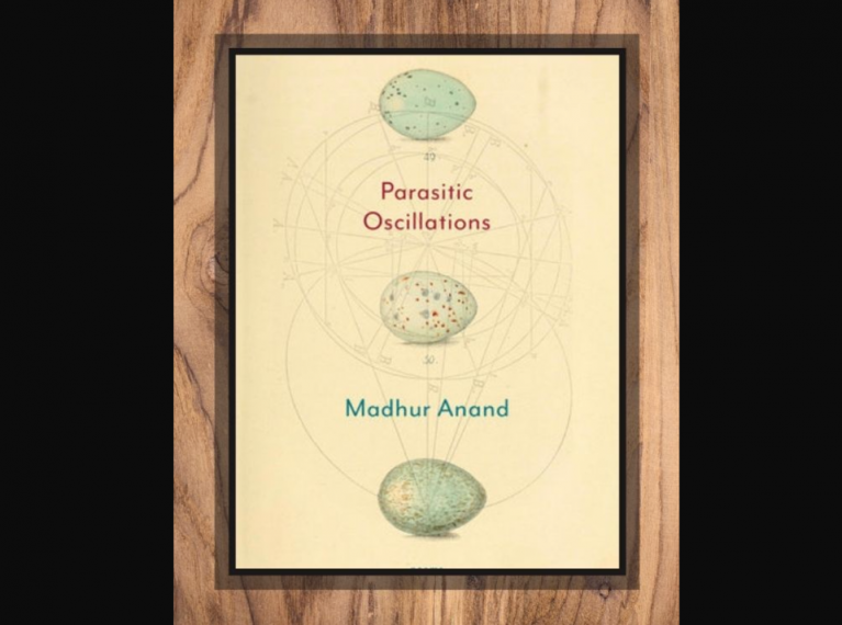 Parasitic Oscillations by Madhur Anand